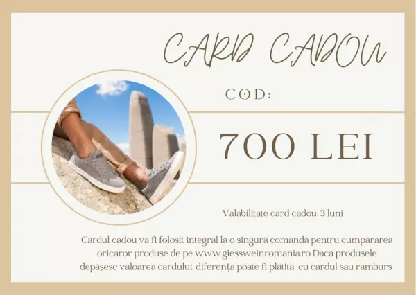 Card Cadou 700 Lei 10003.html