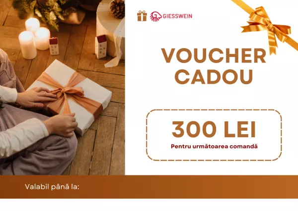 Voucher Cadou Xmas 300 Lei 121316.html