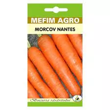 Seminte morcov Berlicum 5g (varf bont)