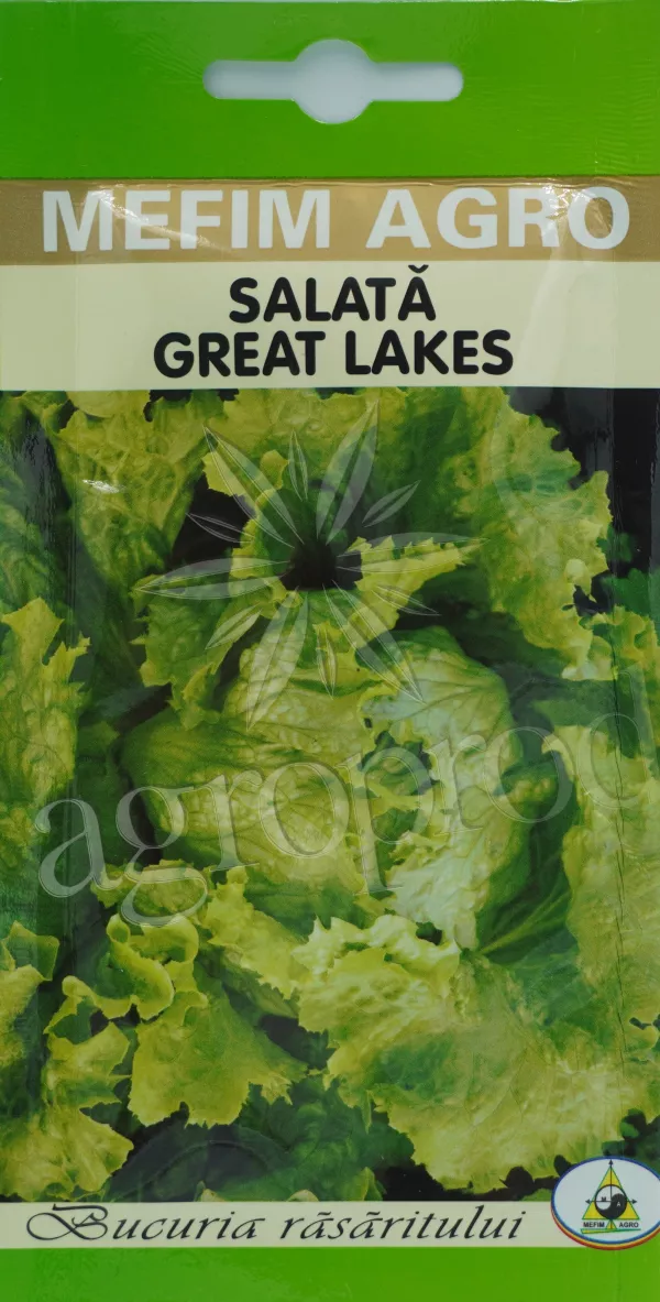Seminte salata Great Lakes 3g(tip iceberg)