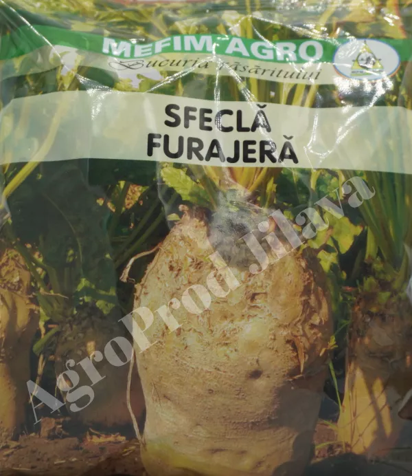 Seminte sfecla furajera 200g(plurigerma)