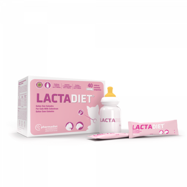 Lactadiet cats hot sale with colostrum