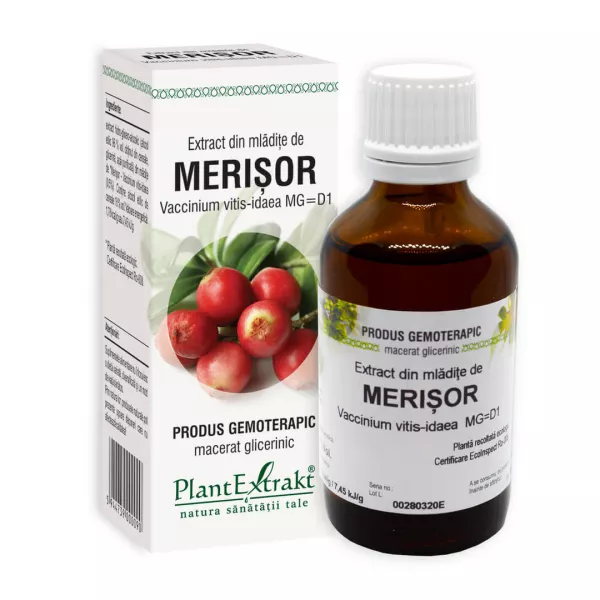 Extract din mladite de Merisor, 50 ml, Plant Extrakt