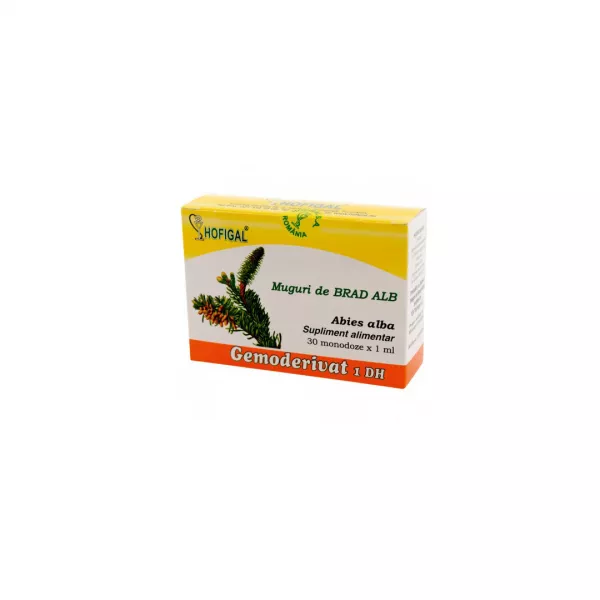 Muguri de brad alb Gemoderivat 1DH, Hofigal