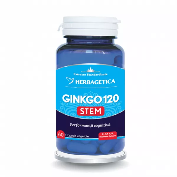 Ginkgo120 Stem, 60 capsule, Herbagetica