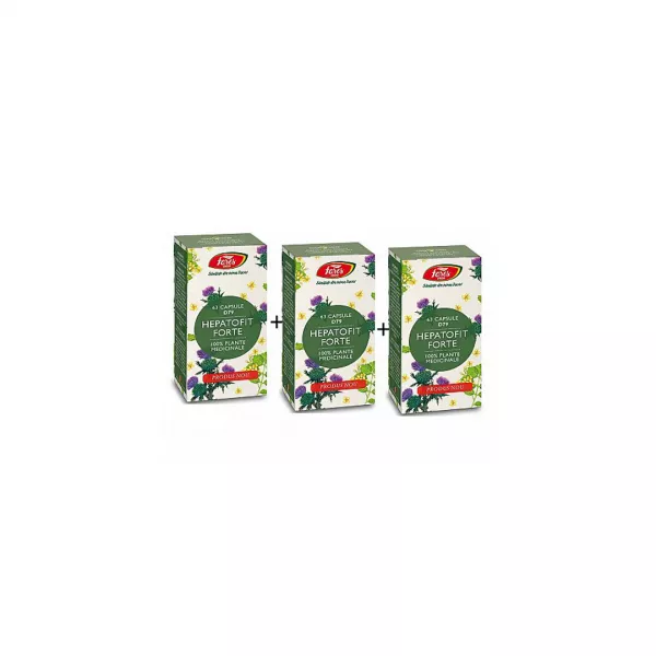 Hepatofit Forte, 63 capsule, Fares 2+1