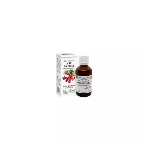 Extract din muguri de MAR PADURET - Malus sylvestris MG=D1, Plant Extrakt