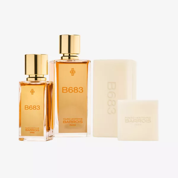 B683