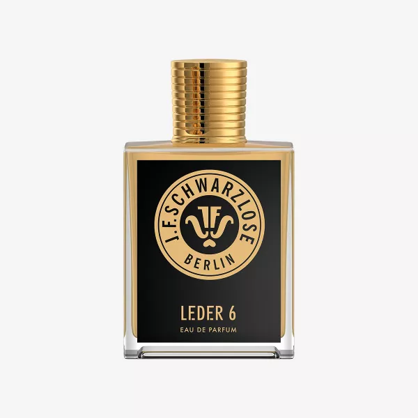 LEDER 6