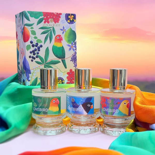 LOVEBIRD SPECIAL EDITION