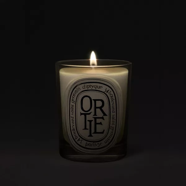 ORTIE