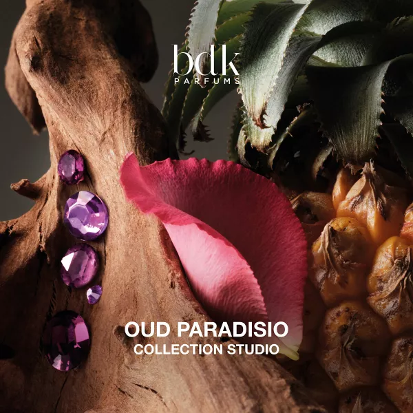 COLLECTION STUDIO OUD PARADISIO