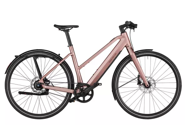 ▼▼▼R.I.E. bicicleta-electrica-riese-