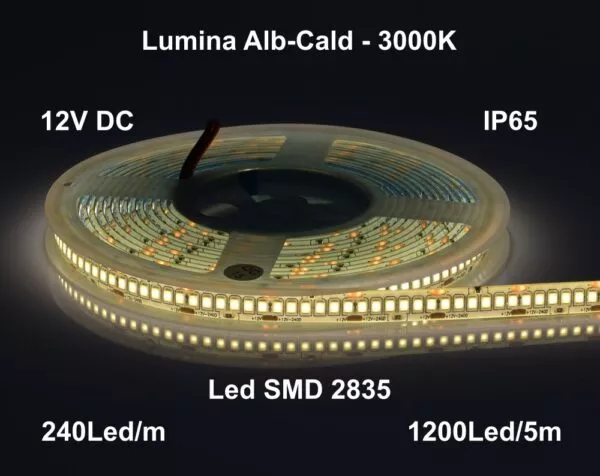Banda LED 12V 12W 3000K SMD2835 IP65