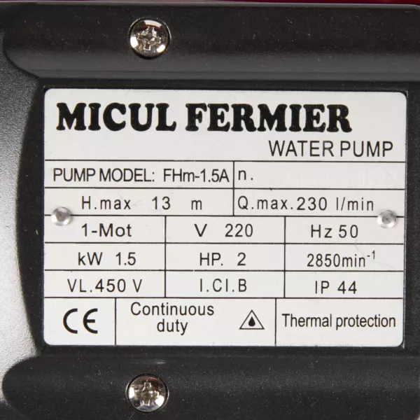 Pompe de gradina - Pompa apa de suprafata FHM-1.5"A motor mic, bricolajmarket.ro