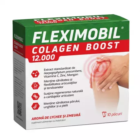 Fleximobil Colagen Boost 12.000mg x 10pl-Fiterman