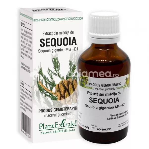 Extract mladite sequoia, 50 ml, PlantExtrakt, [],farmaciamea.ro