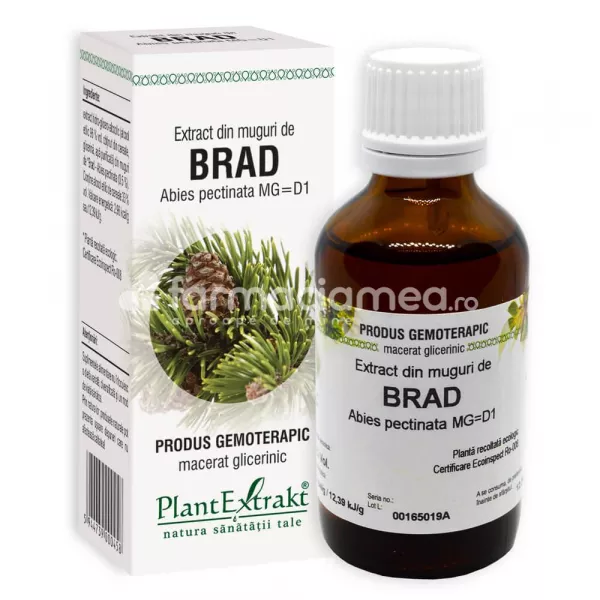 Extract muguri brad, 50 ml, PlantExtrakt, [],farmaciamea.ro