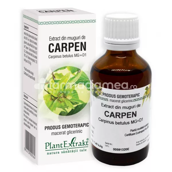 Extract muguri carpen, 50 ml, PlantExtrakt, [],farmaciamea.ro