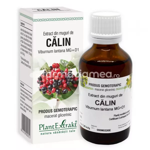 Extract muguri calin, 50 ml, PlantExtrakt, [],farmaciamea.ro