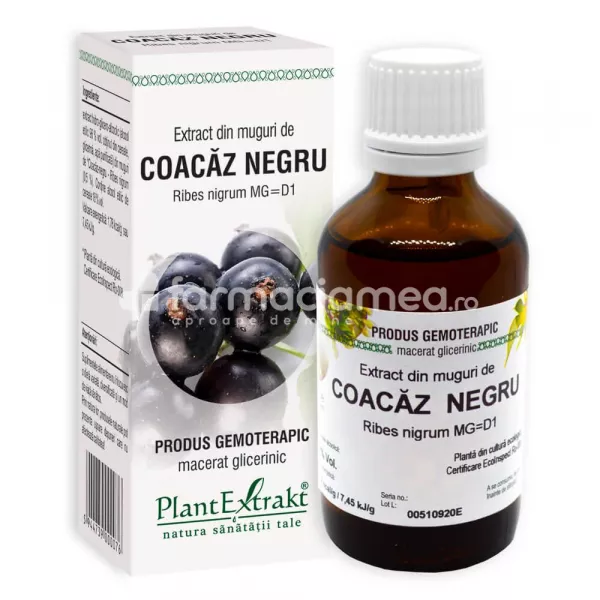 Extract muguri coacaz negru, sustine sanatatea aparatului respirator, 50 ml, PlantExtrakt, [],farmaciamea.ro