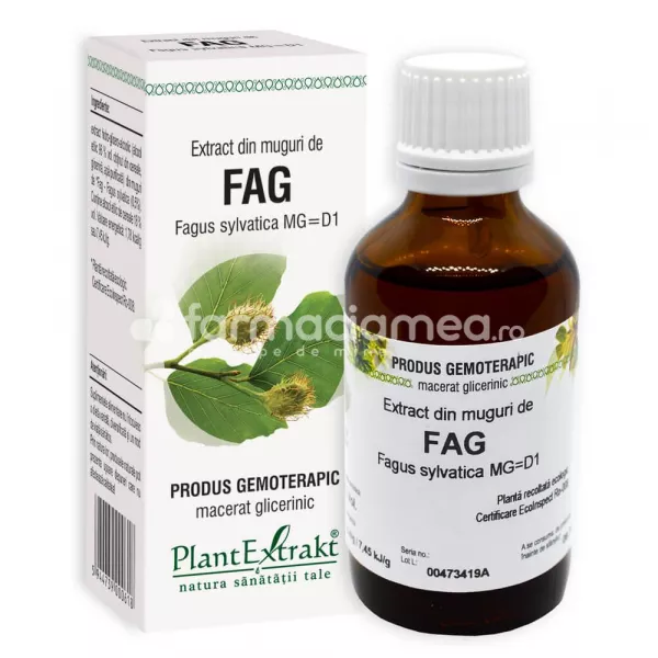 Extract muguri fag, 50 ml, PlantExtrakt, [],farmaciamea.ro