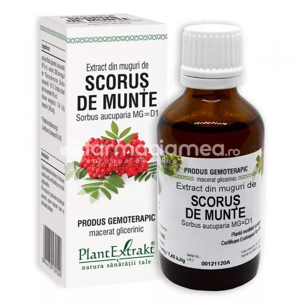 Extract muguri scorus, 50 ml, PlantExtrakt