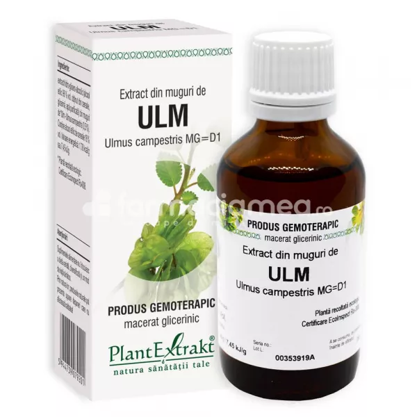 Extract muguri ulm, 50 ml, PlantExtrakt, [],farmaciamea.ro