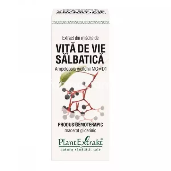Extract mladite de Vita de Vie Salbatica, 50 ml, PlantExtrakt