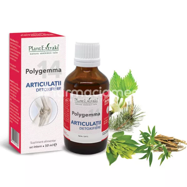 Polygemma 14 Articulatii detoxifiere, 50 ml, PlantExtrakt