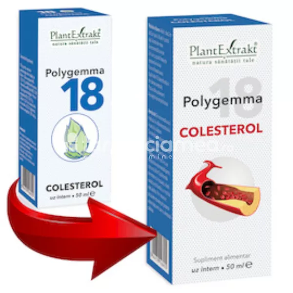 Polygemma 18 Colesterol, 50 ml, PlantExtrakt