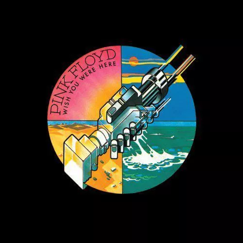 Pink Floyd-Wish You Were Here (180g Audiophile Pressing)-LP