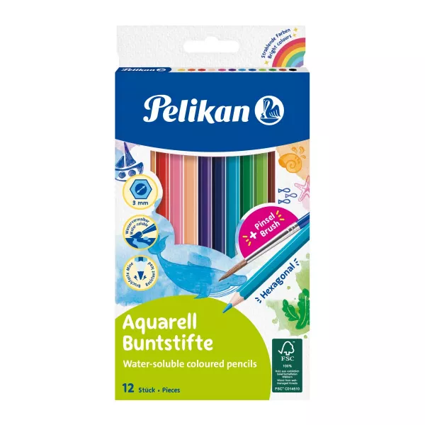 Creioane colorate solubile in apa, set 12 + pensula