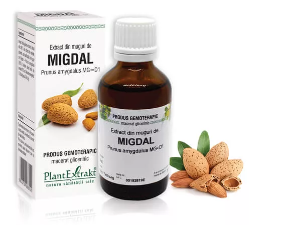Extract muguri migdal (Prunus amygdalus) 50ml, PlantExtrakt