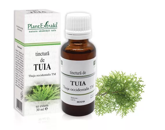 Tinctură tuia (Thuja occidentalis TM), 30ml, PlantExtrakt