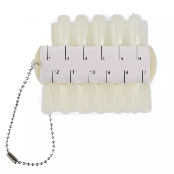 Paletar expunere culori, Display 24 pozitii