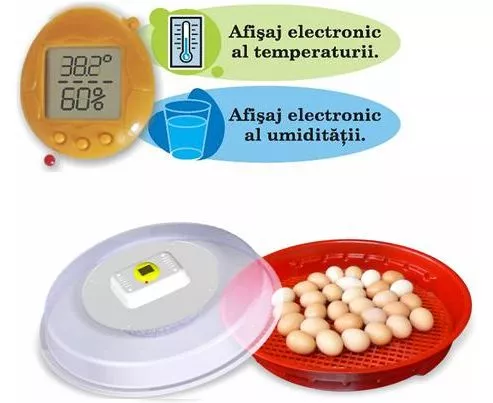 Incubator de oua Puisor, afisarea temperaturii si umiditatii, cu intoarcere manuala, pentru 70 oua gaina