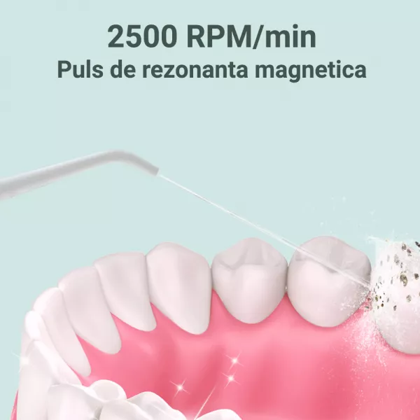 Irigator bucal profesional, dus bucal, Lila Care, rezervor 280 ml cu 4 capete, alb