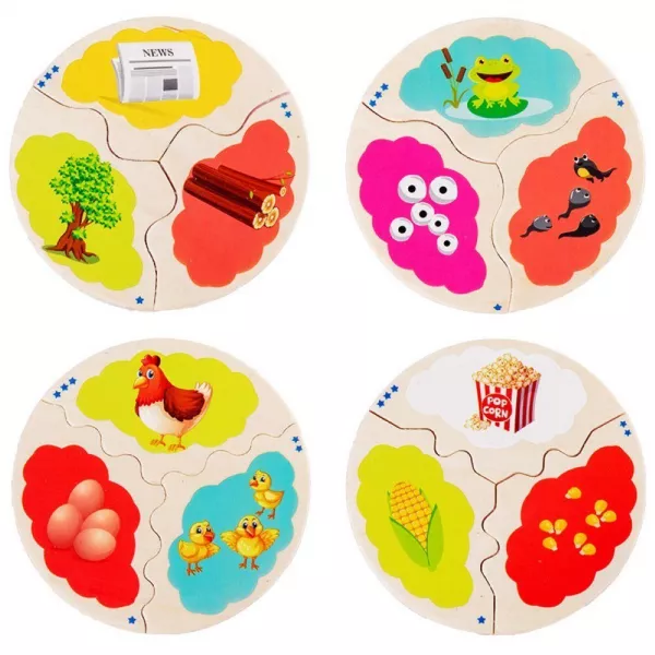 Set 12 Puzzle-uri Karemi de asociere din lemn - Evolution 