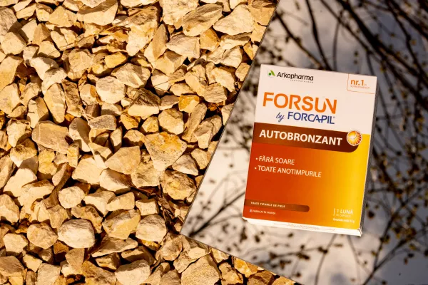FORSUN FORCAPIL AUTOBRONZANT 30*CAPS.