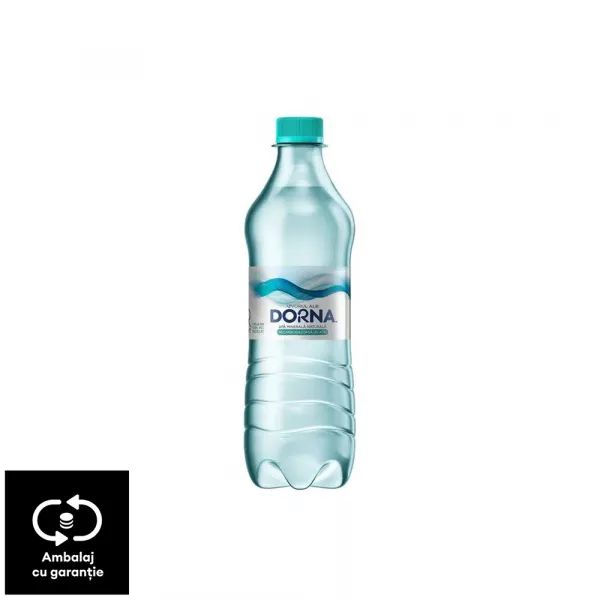 Apa plata APA PLATA DORNA SGR 0.5L 5942321000565 BORSEC nons...