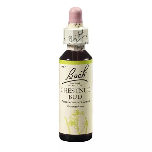 Remediu floral Bach Chestnut bud (Castan salbatic) x 20ml