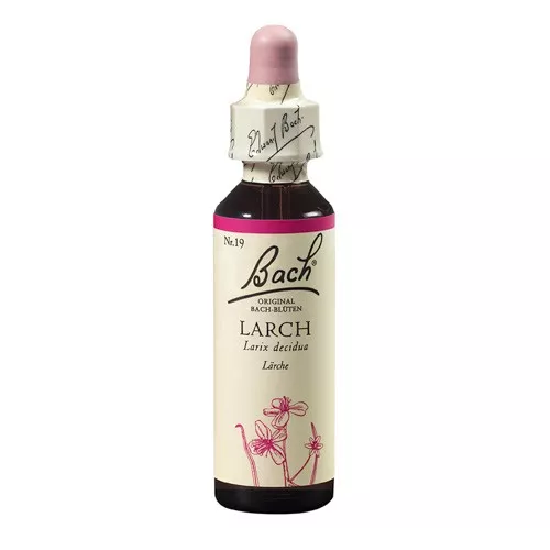 Remediu floral Bach Larch (Larita) x 20ml