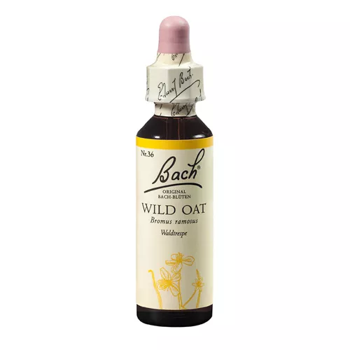 Remediu floral Bach Wild oat (Ovaz salbatic) x 20ml