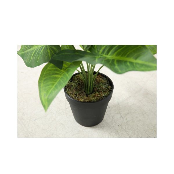 Planta artificiala 40 cm Colocazie
