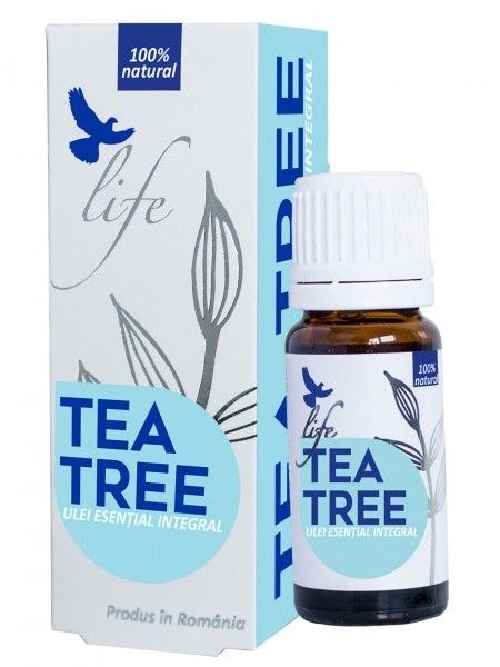 ulei de arbore de ceai din varicoză