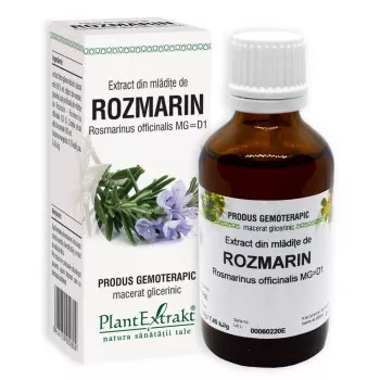 Extract din mlădițe de rozmarin - Rosmarinus officinalis MG=D1 (PlantExtrakt)