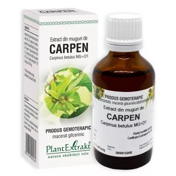 Extract din muguri de carpen - Carpinus betulus MG=D1 (PlantExtrakt)