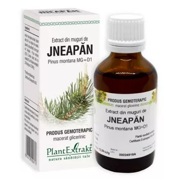 Extract din muguri de jneapăn - Pinus montana MG=D1 (PlantExtrakt)