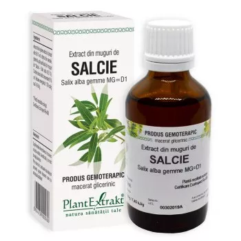 Extract din muguri de salcie - Salix alba gemme MG=D1 (PlantExtrakt)